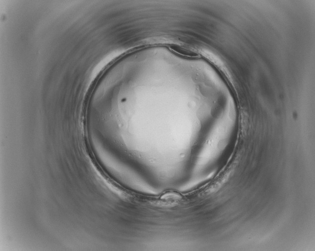 X0000070431141200606302120