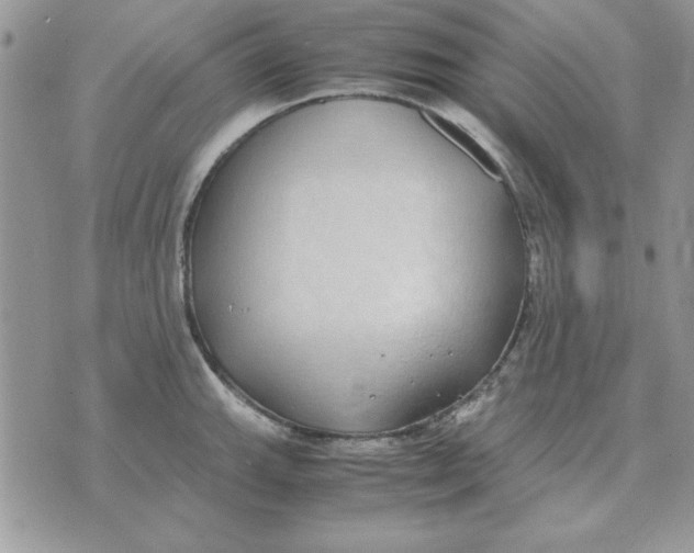 X0000070431143200606302120