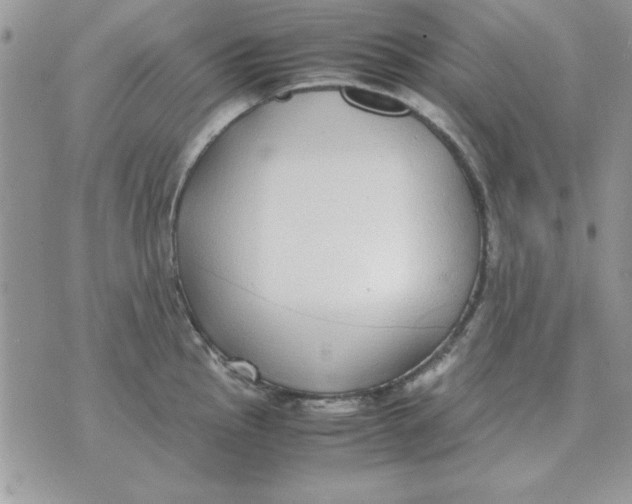 X0000070431145200606302120