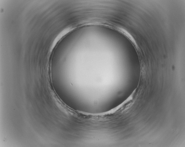 X0000070431146200606302120