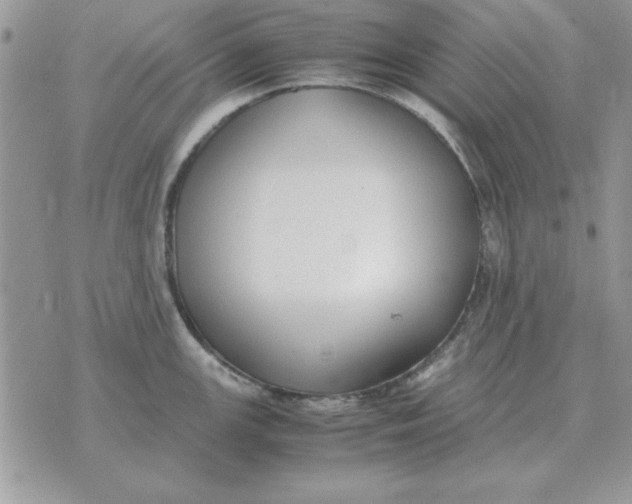 X0000070431147200606302120