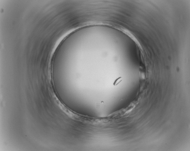 X0000070431148200606302120