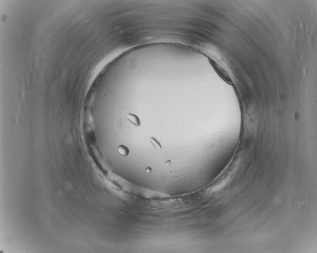 X0000070431149200606302120