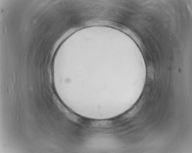 X0000070431150200606302120