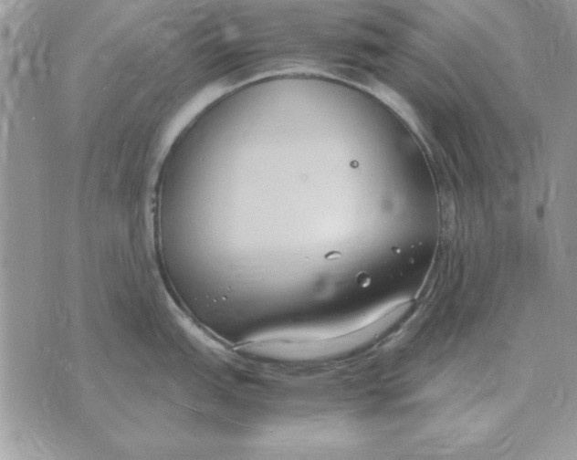 X0000070431151200606302120