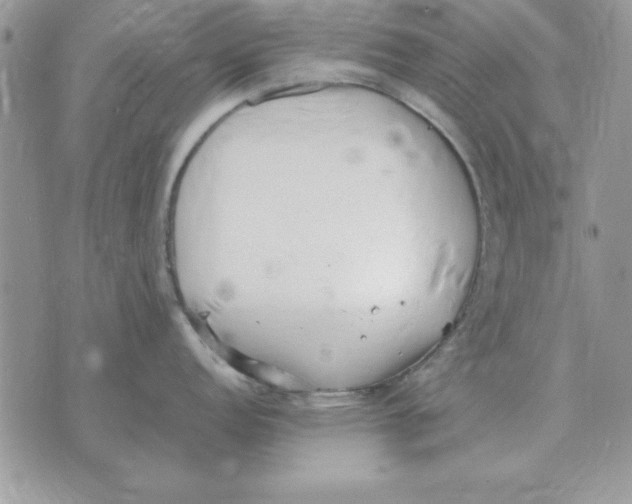 X0000070431152200606302120