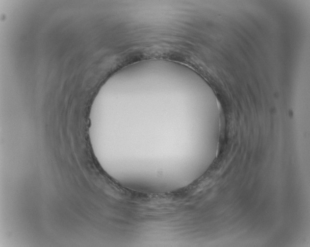 X0000070431153200606302119