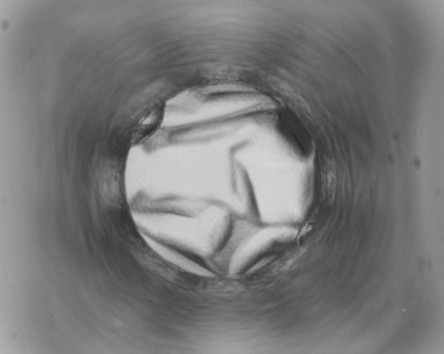 X0000070431154200606302119