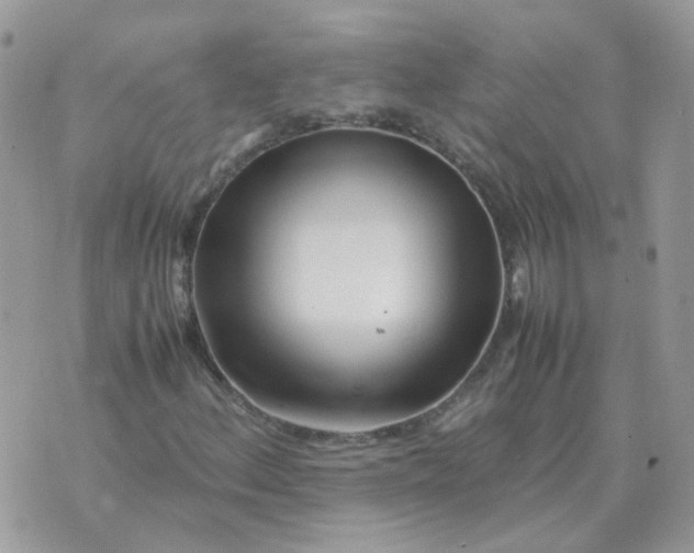 X0000070431156200606302119