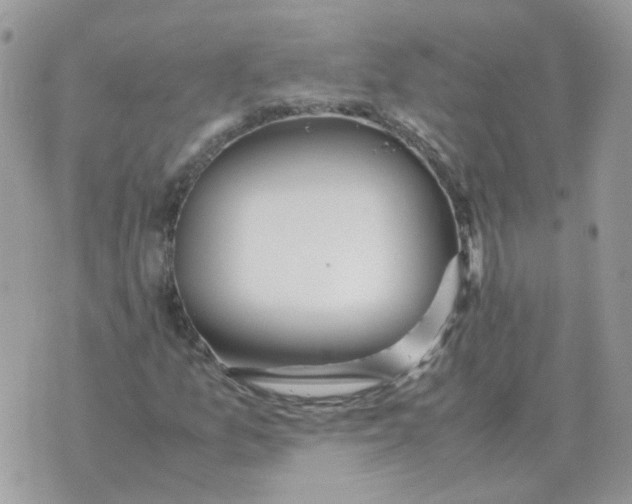 X0000070431157200606302119