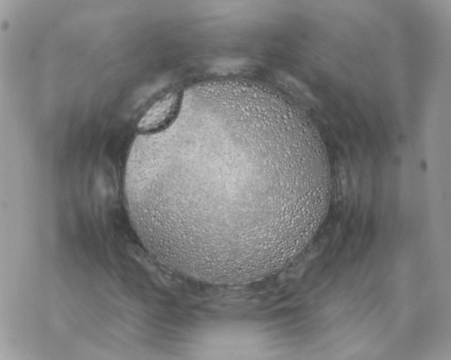 X0000070431158200606302119