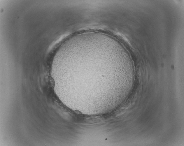 X0000070431159200606302119