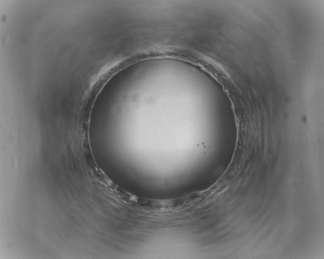 X0000070431160200606302119