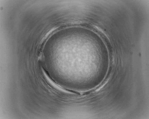 X0000070431161200606302119