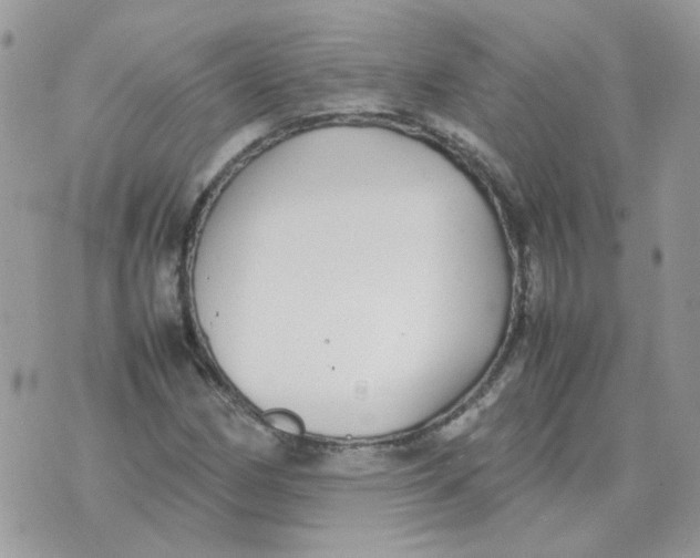 X0000070431162200606302119