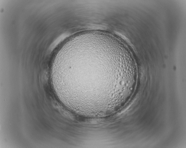 X0000070431163200606302119