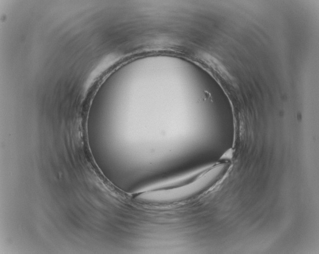 X0000070431164200606302119