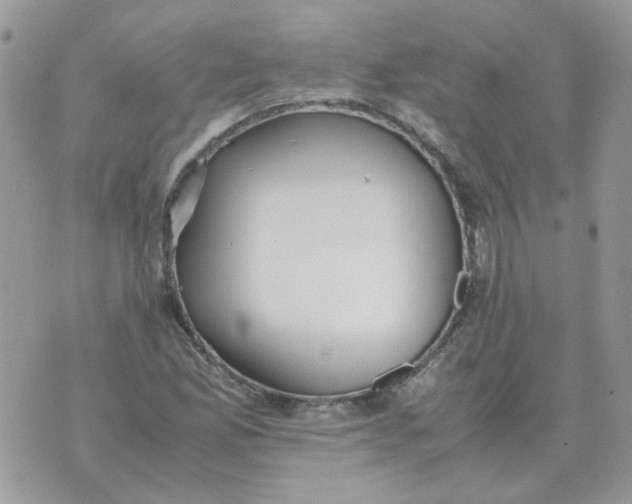 X0000070431165200606302119