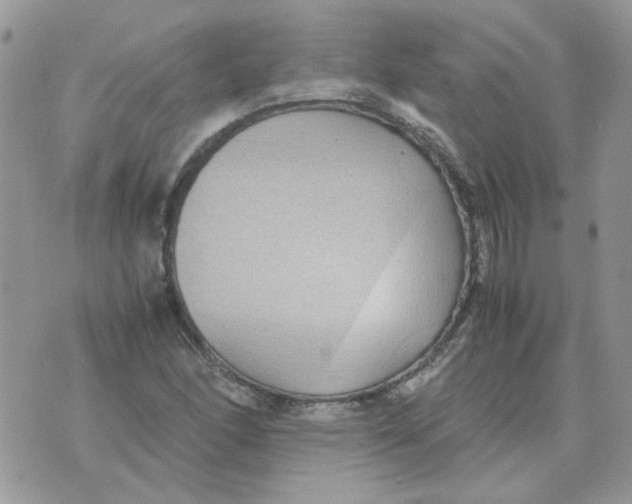 X0000070431166200606302119