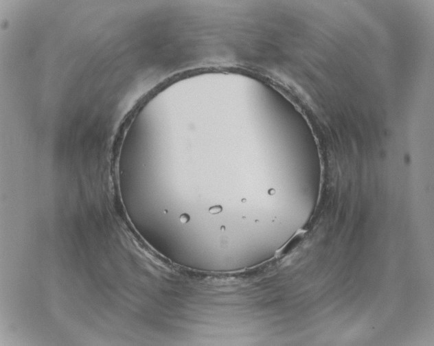 X0000070431168200606302119