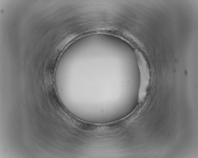 X0000070431169200606302119