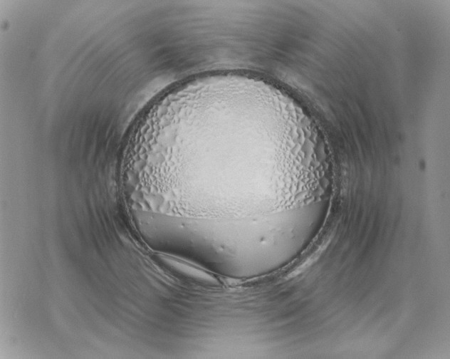 X0000070431170200606302119