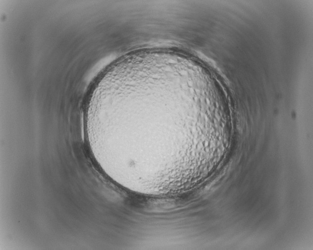 X0000070431171200606302119