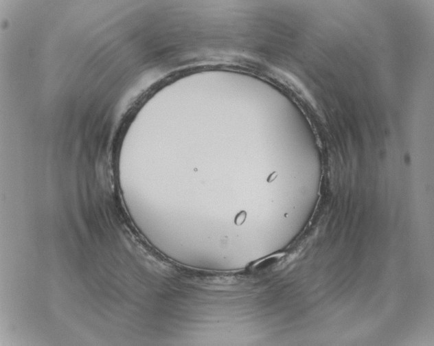 X0000070431172200606302119