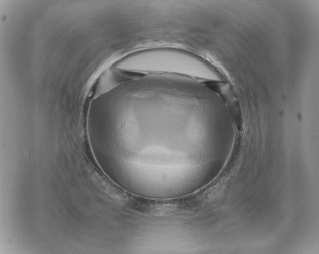 X0000070431173200606302119