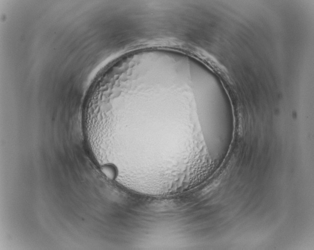 X0000070431174200606302119