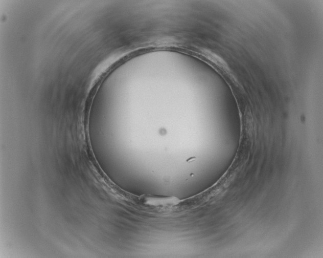 X0000070431176200606302119