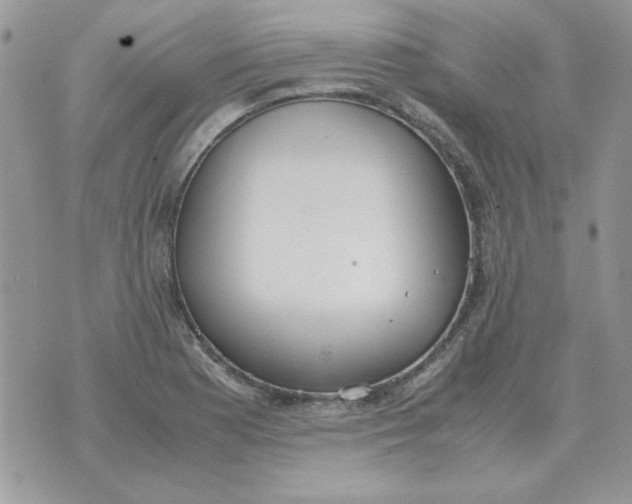 X0000070431177200606302119