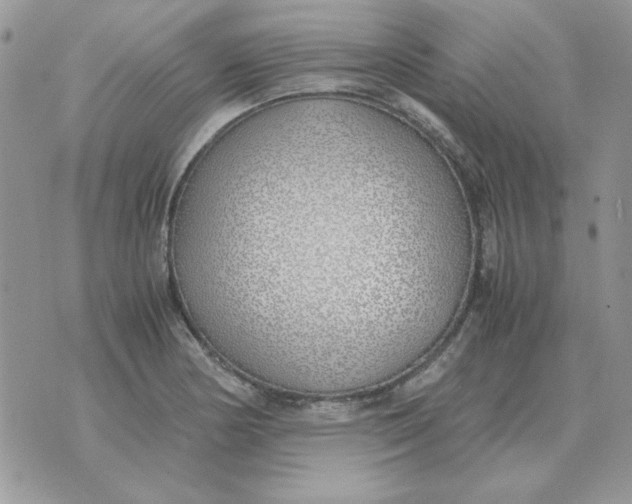 X0000070431178200606302119