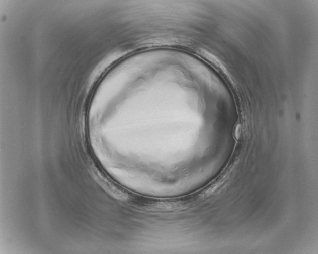 X0000070431179200606302119