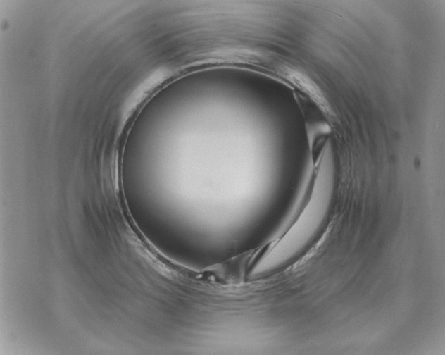 X0000070431180200606302119