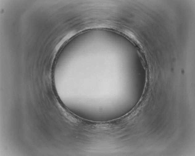 X0000070431181200606302119