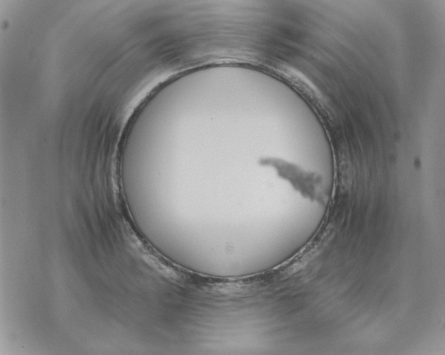 X0000070431182200606302118