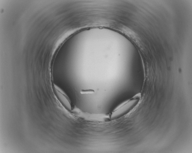 X0000070431184200606302118