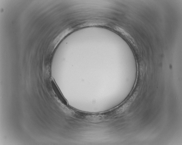 X0000070431185200606302118