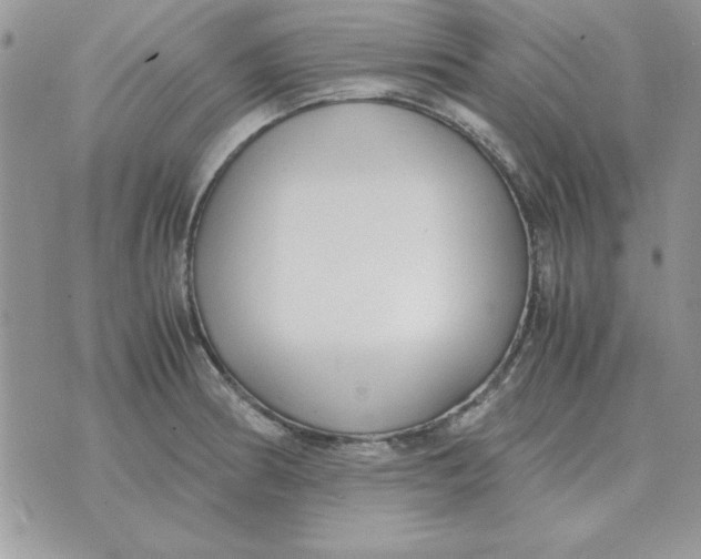 X0000070431186200606302118