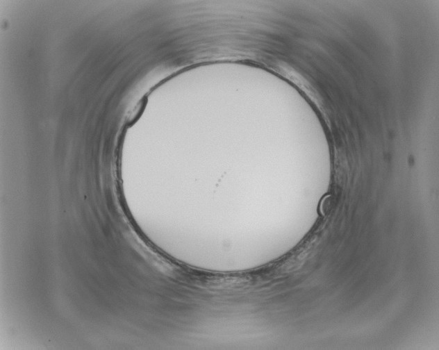 X0000070431187200606302118