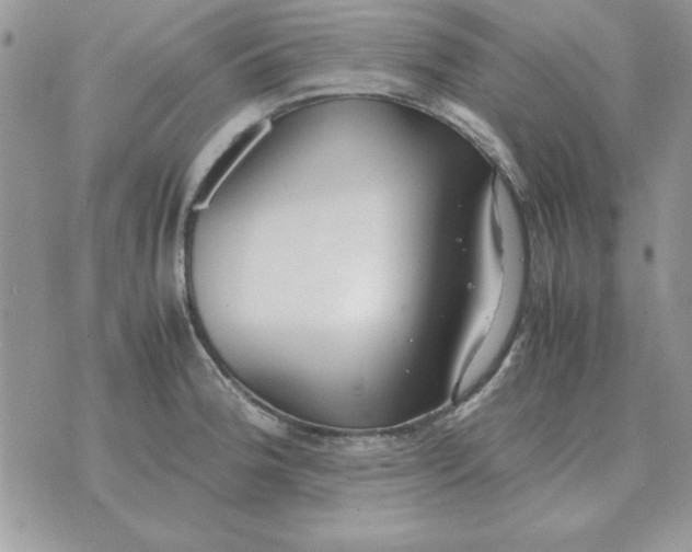 X0000070431188200606302118