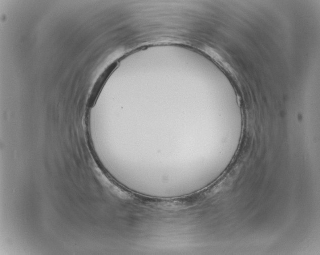 X0000070431189200606302118