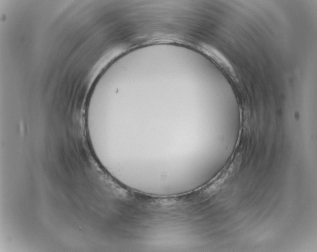 X0000070431190200606302118