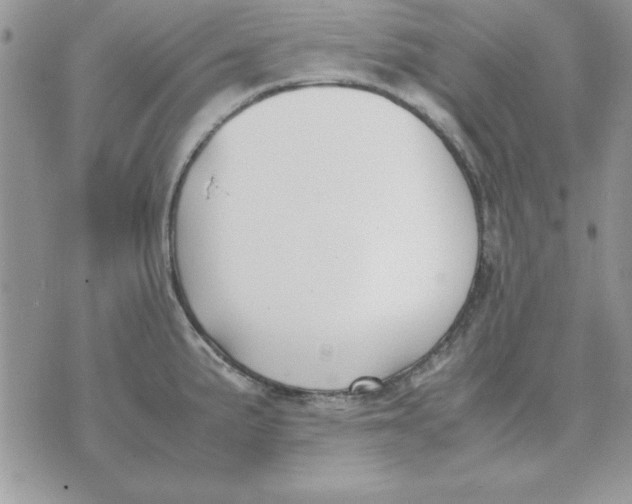 X0000070431191200606302118