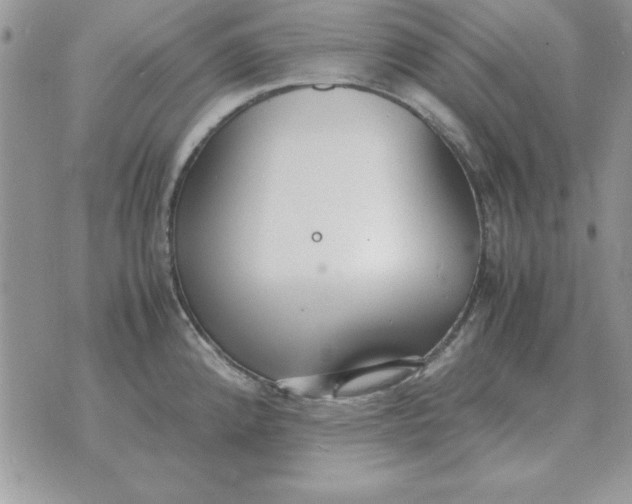 X0000070431192200606302118