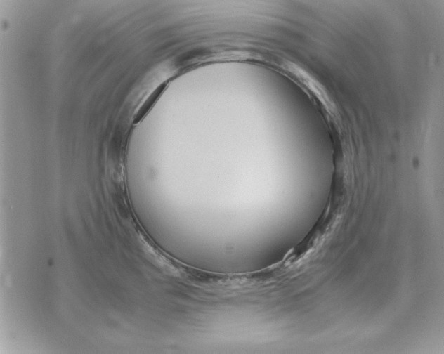 X0000070431193200606302118