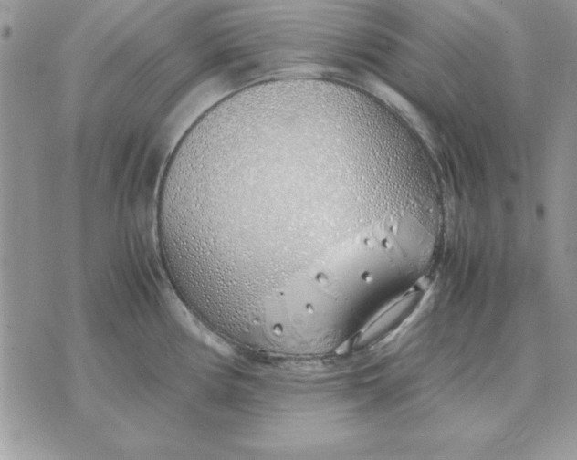 X0000070431194200606302118