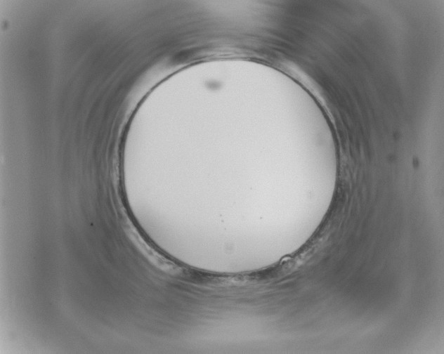 X0000070431195200606302118