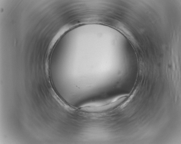 X0000070431196200606302118